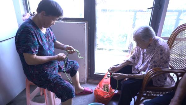 合肥十大新闻人物_合肥最长寿老人楚学珍 长寿秘诀 生活规律 心态平和