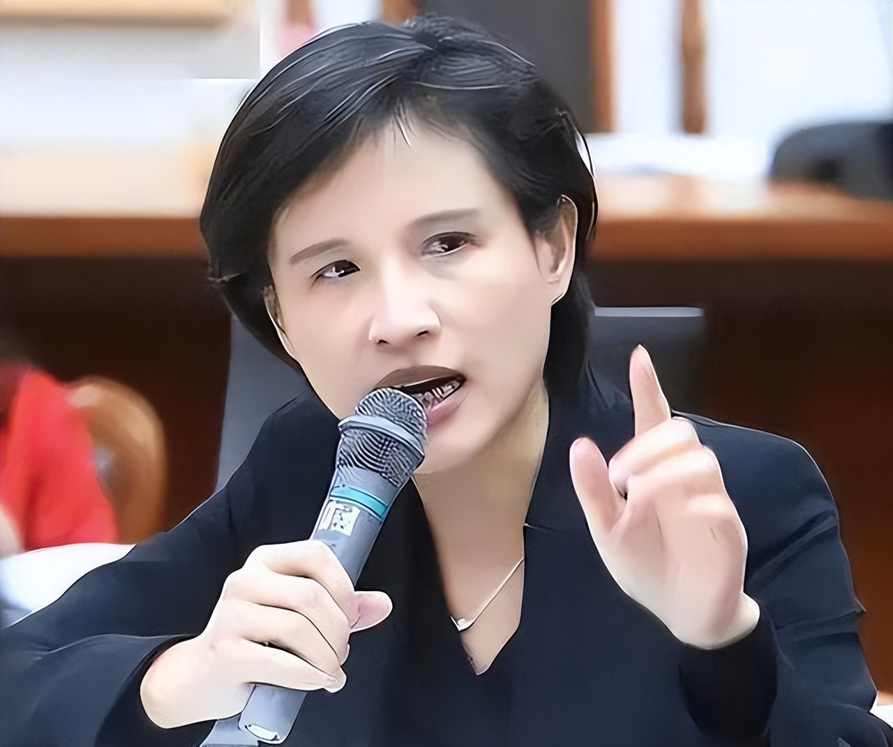 郑丽君 台独 夫妇大陆生意_台湾新闻蔡英文老公
