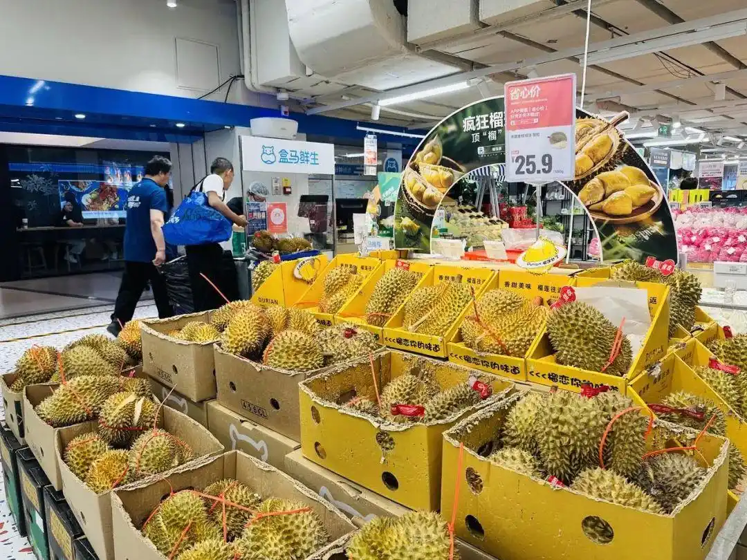 榴莲自由，猝不及防地来了