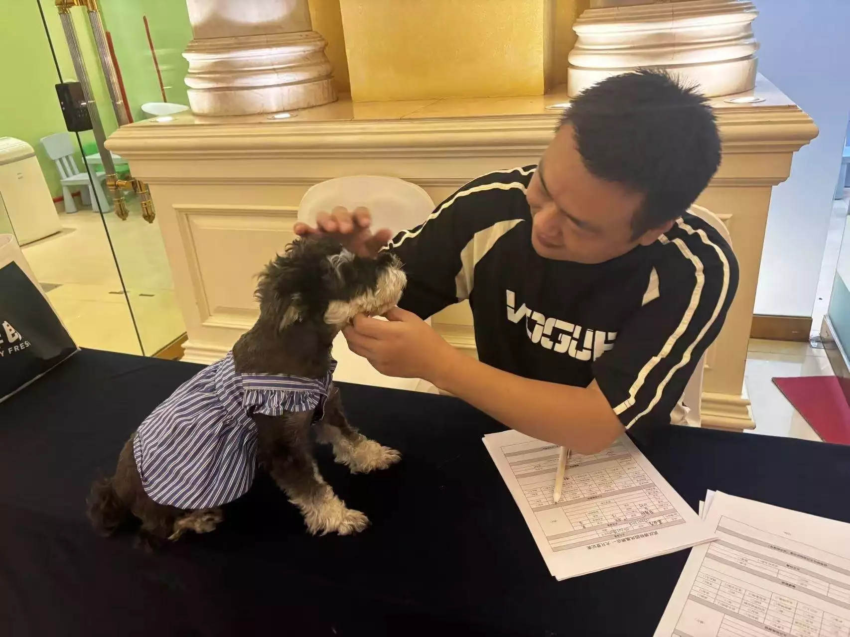 宠物主题房预订价格_武汉碧桂园凤凰酒店宠物陪睡服务_宠物服务