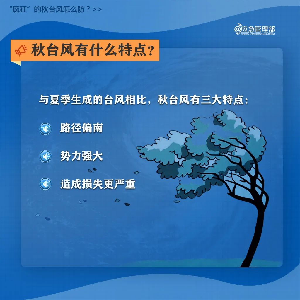 超强台风桦加沙_现场直击广州巨灾防御准备工作_台风黄色预警