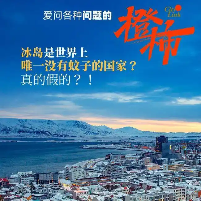 冰岛没有蚊子的原因_冰岛唯一蚊子保存在研究所_现在只剩南极没蚊子了