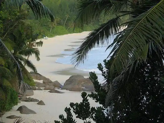 冰岛没有蚊子的原因_冰岛唯一蚊子保存在研究所_现在只剩南极没蚊子了