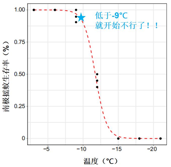 南极摇蚊抗冻特性_南极摇蚊生存机制_现在只剩南极没蚊子了