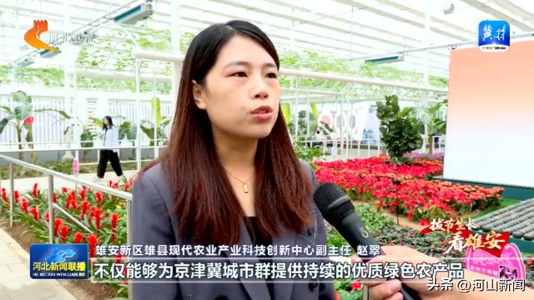 拓展农业产业链价值链_都市农业科技博览园_雄安新区农业科技示范平台