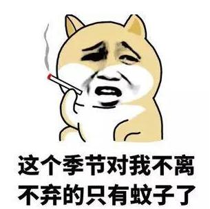 现在只剩南极没蚊子了_蚊子传播疾病种类_蚊子叮咬原因