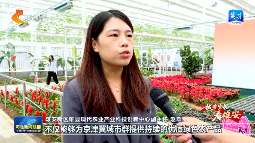 拓展农业产业链价值链_雄安新区农业科技示范平台_都市农业科技博览园