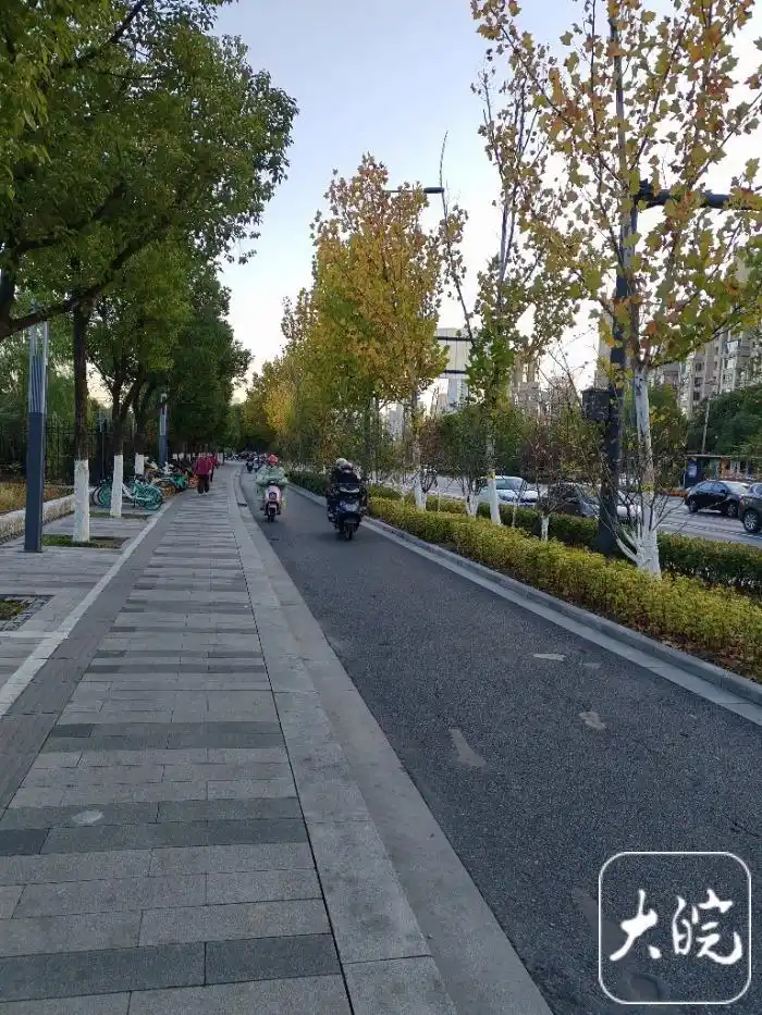 安徽11月寒潮原因_安徽小雪节气寒潮_今冬是否为超级冷冬?气象局释疑