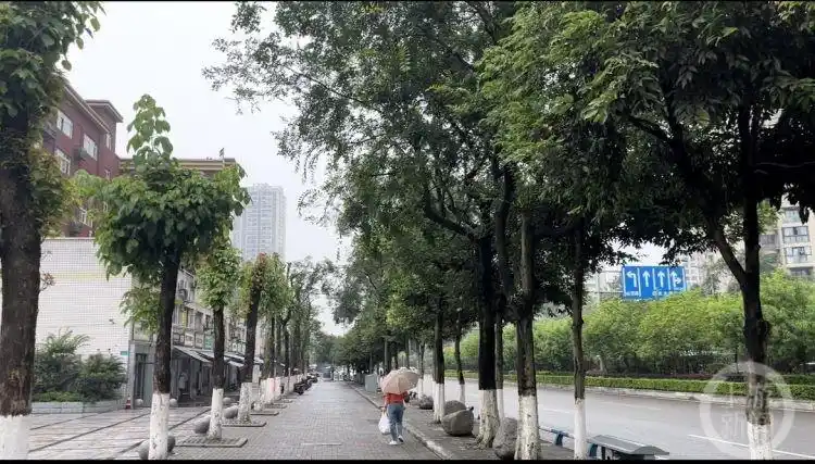 上游帮忙｜学校每晚10点半放广播 附近居民希望能调低音量