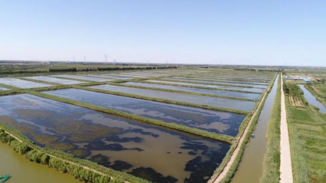 大闸蟹坐“头等舱”24小时飞抵餐桌_新疆天山雪蟹_黄河口大闸蟹