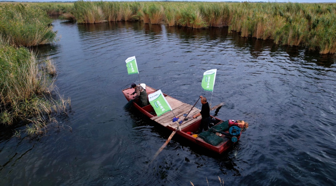 新疆天山雪蟹_大闸蟹坐“头等舱”24小时飞抵餐桌_黄河口大闸蟹