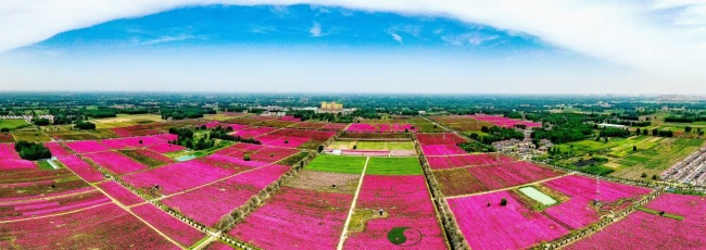 来亳州，探寻中医药文化的魅力