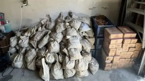 为钱太多发愁！美国一对夫妇在地下室发现100万枚上世纪铜币