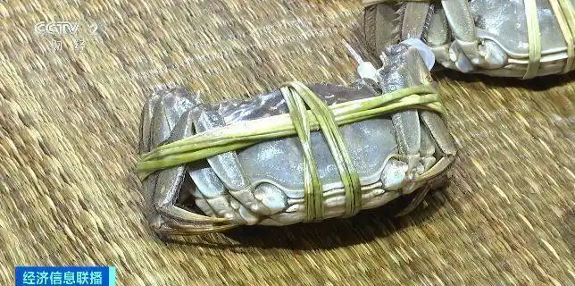 大闸蟹坐“头等舱”24小时飞抵餐桌_大闸蟹物流运输_阳澄湖大闸蟹发货_香港消费者北上尝鲜