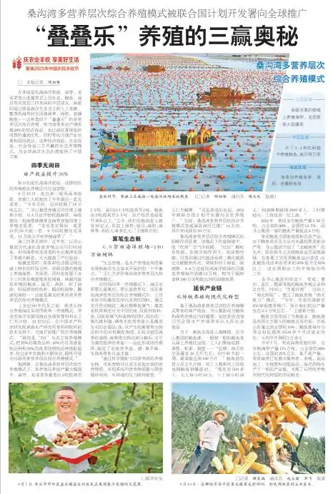 如何写出吸引人的新闻标题_巧用比喻的新闻标题_新闻标题写作技巧