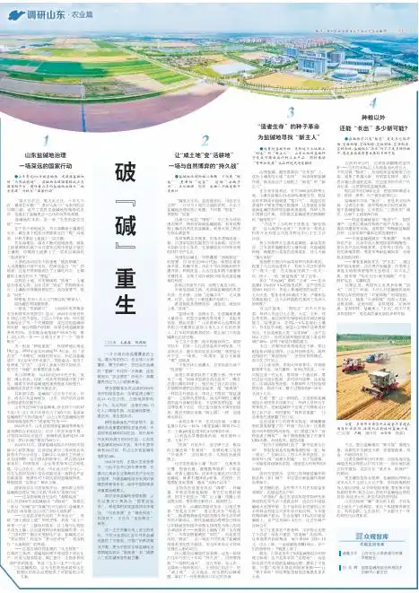 巧用比喻的新闻标题_新闻标题写作技巧_如何写出吸引人的新闻标题