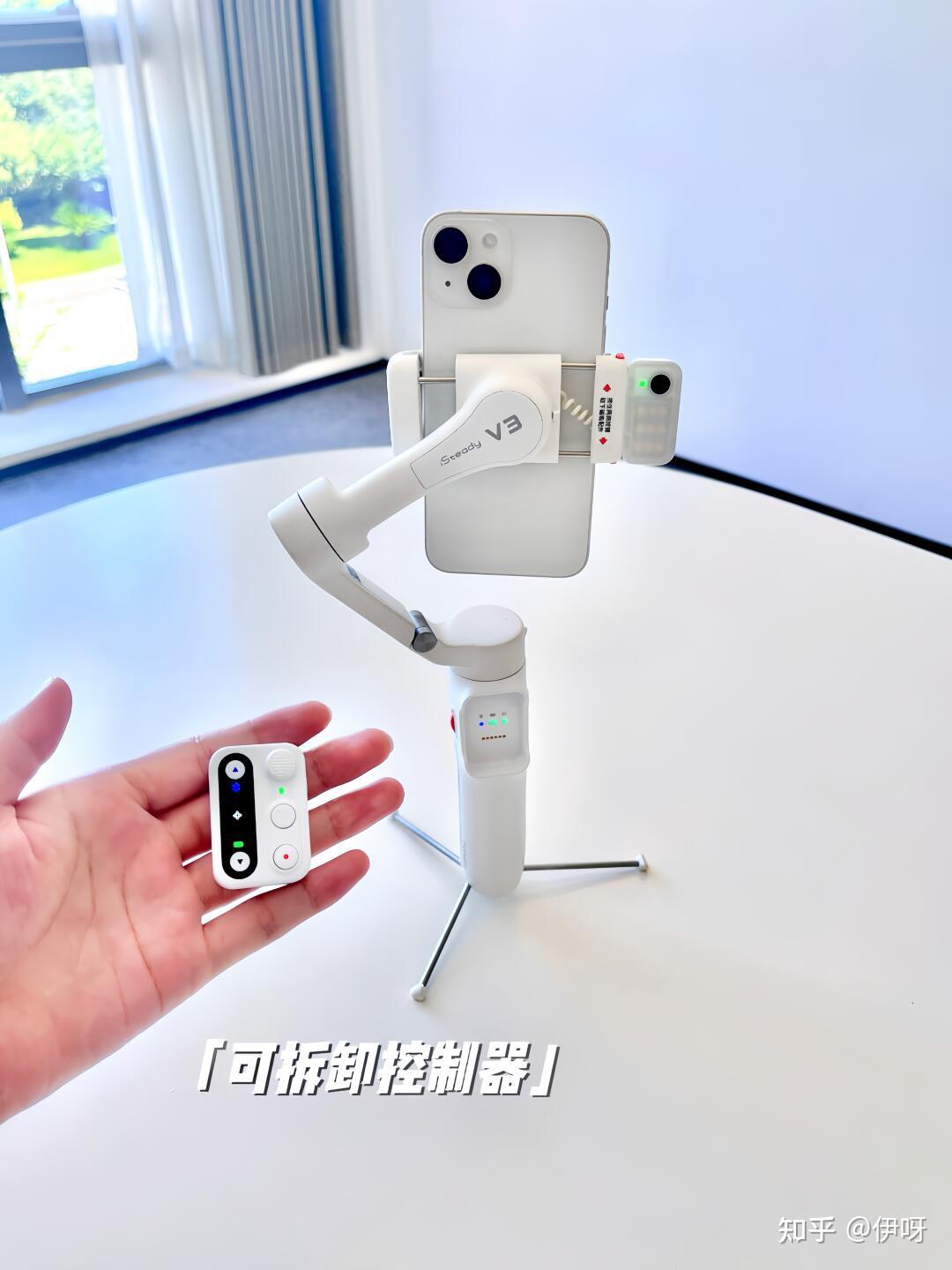 送狗狗回家_送礼物攻略_男女礼物推荐