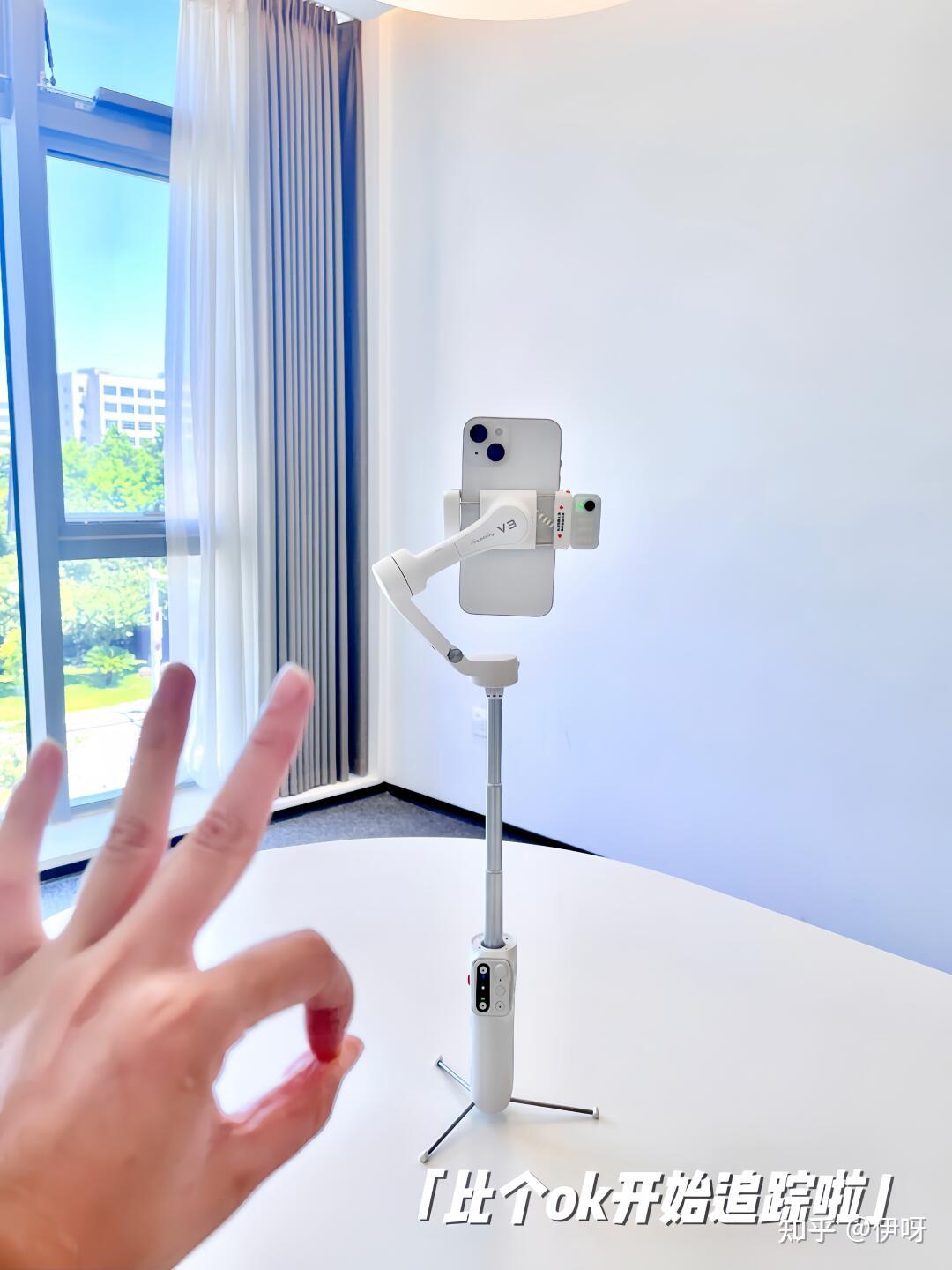 男女礼物推荐_送礼物攻略_送狗狗回家