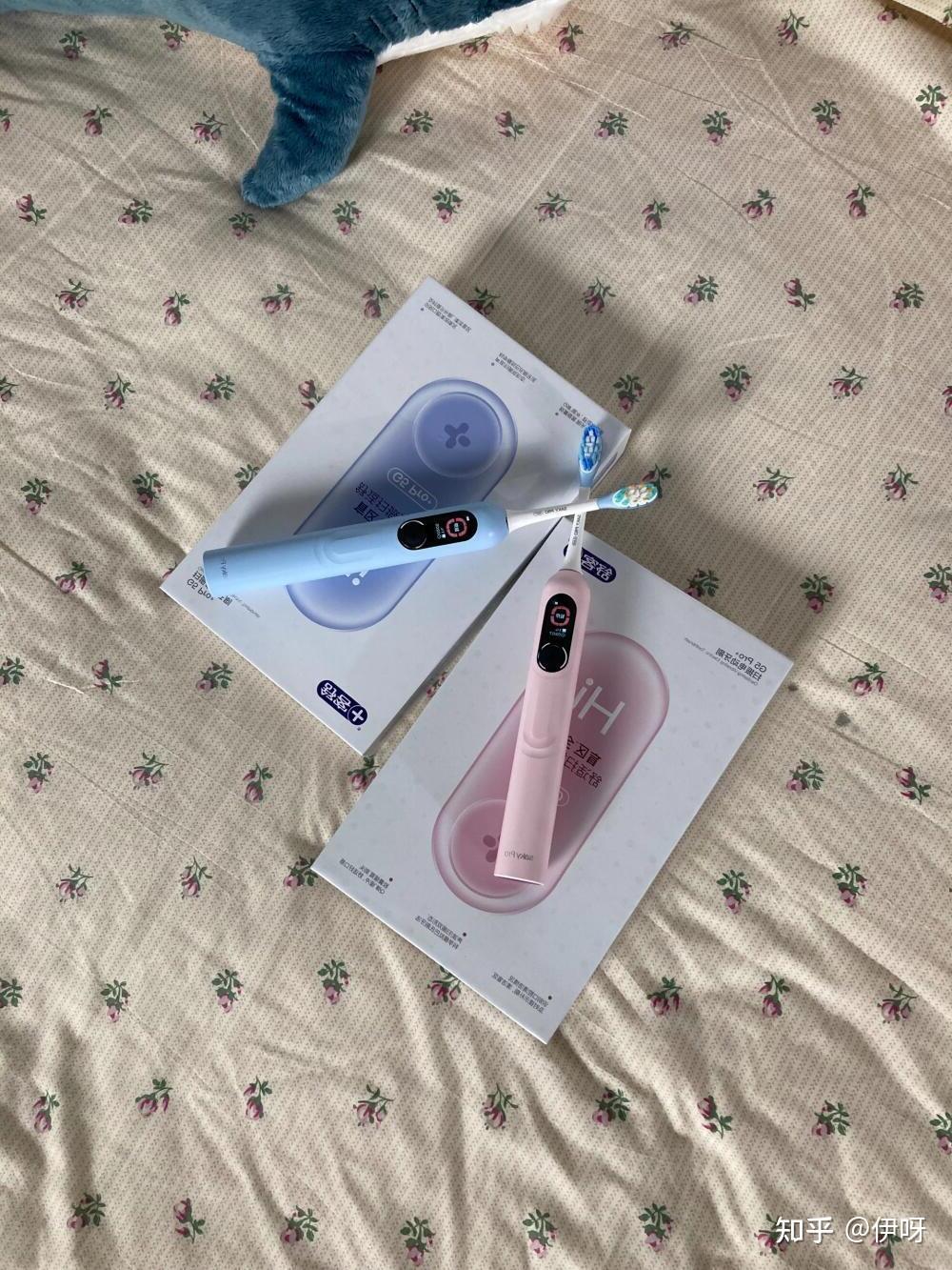 送狗狗回家_男女礼物推荐_送礼物攻略