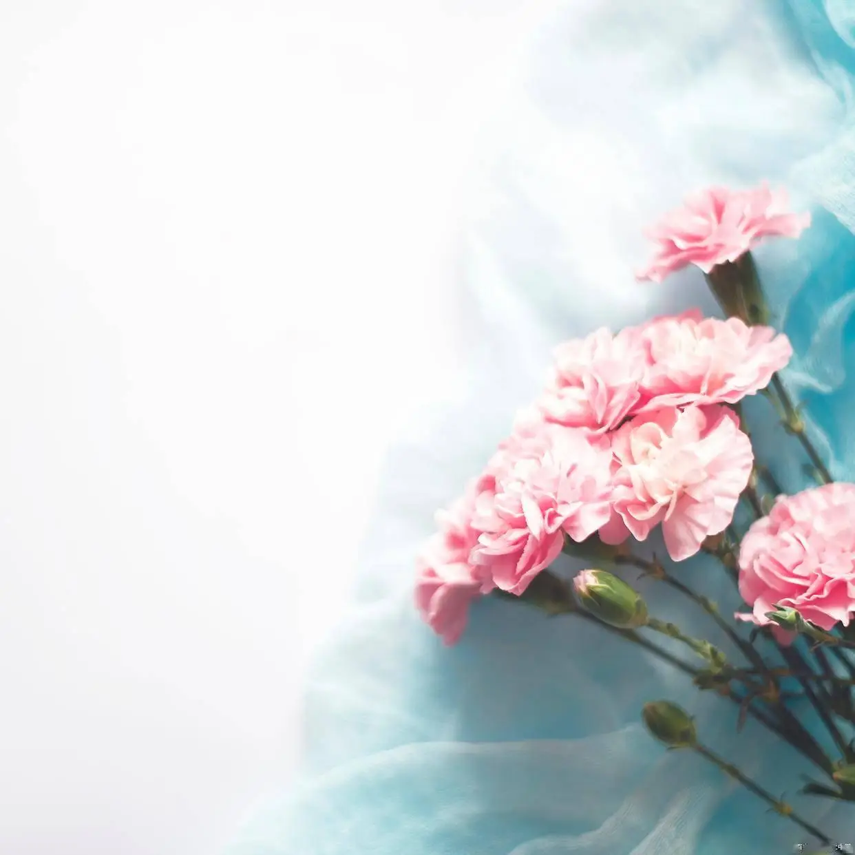 礼貌拒绝搭讪加微信_让男人有面子_拒绝男人的暧昧