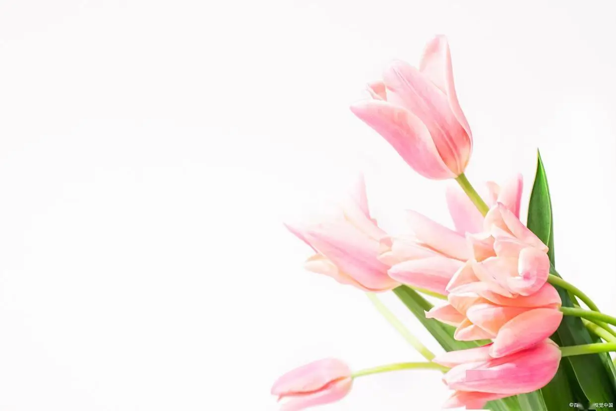 礼貌拒绝搭讪加微信_让男人有面子_拒绝男人的暧昧