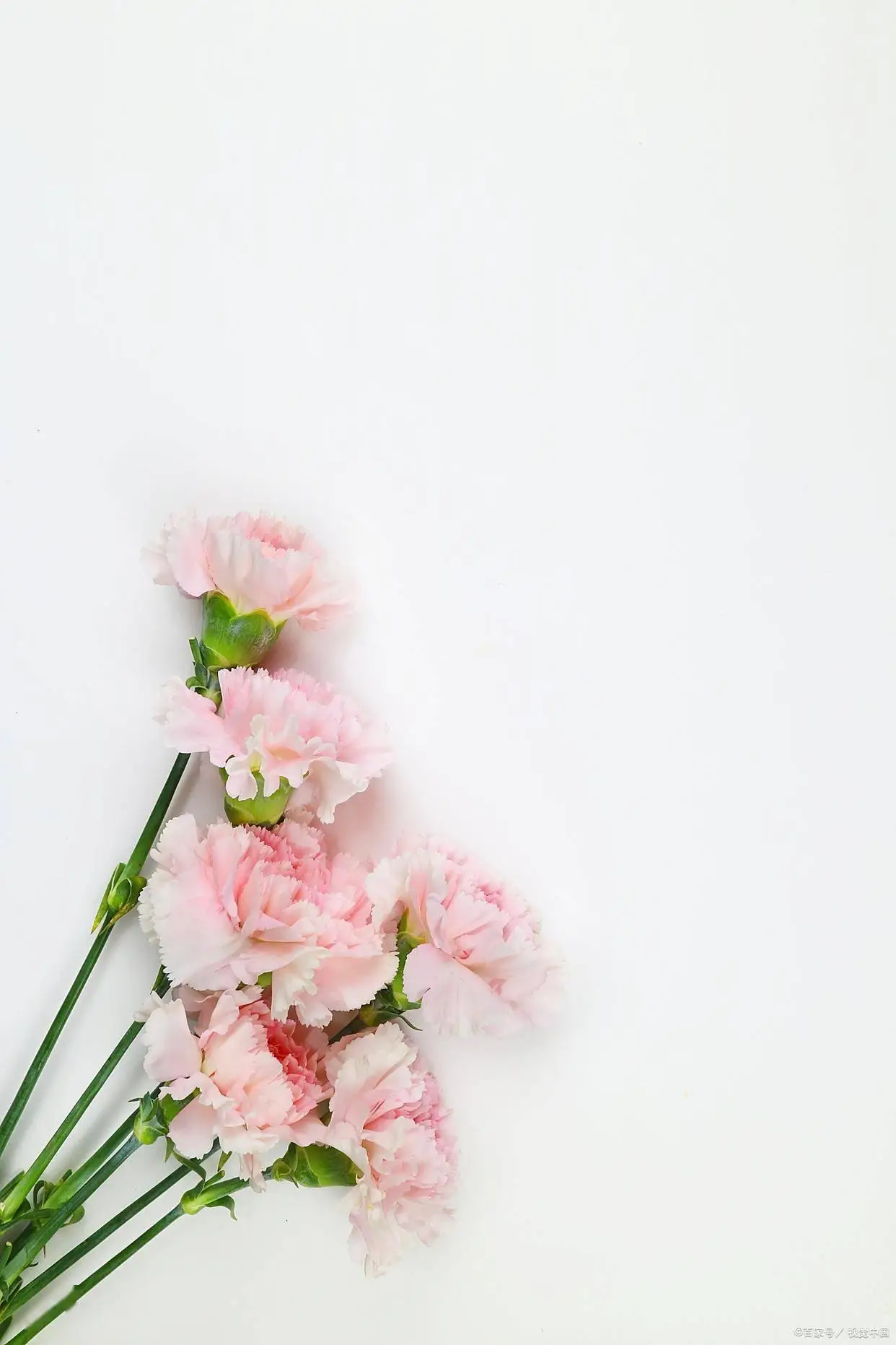 让男人有面子_礼貌拒绝搭讪加微信_拒绝男人的暧昧