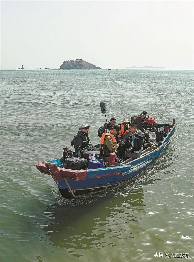 新闻稿怎么写论坛_大连新闻传媒集团 中国新闻奖 系列报道