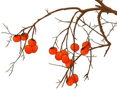 【节气里的大美中国】长图|霜降的起源