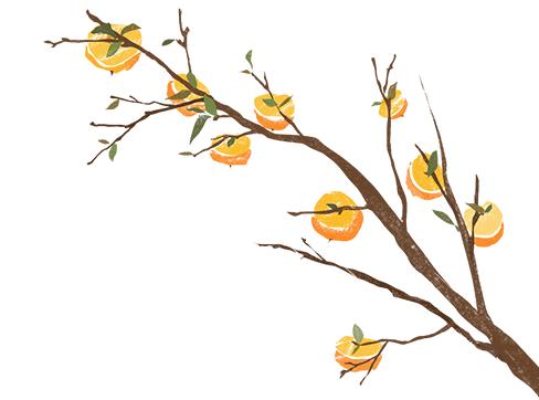 霜降节气物候现象_为何说“冬藏”从霜降开始_霜降饮食养生三防