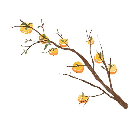 为何说“冬藏”从霜降开始_霜降饮食养生三防_霜降节气物候现象