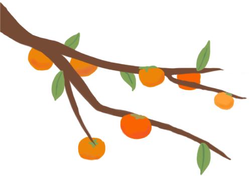 霜降节气物候现象_为何说“冬藏”从霜降开始_霜降饮食养生三防