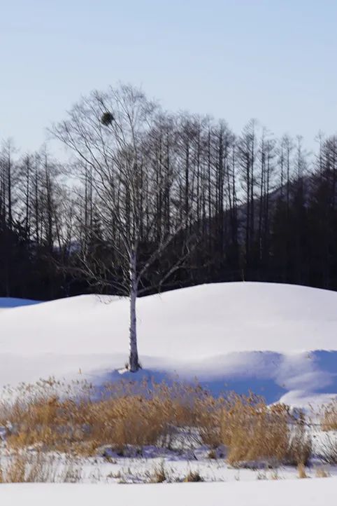为何说“冬藏”从霜降开始_霜降饮食养生三防_霜降节气物候现象