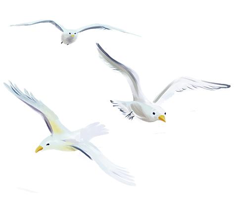 为何说“冬藏”从霜降开始_霜降饮食养生三防_霜降节气物候现象