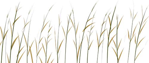 霜降节气物候现象_为何说“冬藏”从霜降开始_霜降饮食养生三防