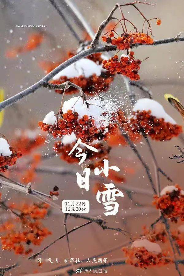 小普说节气丨小雪：冬令成 万物藏