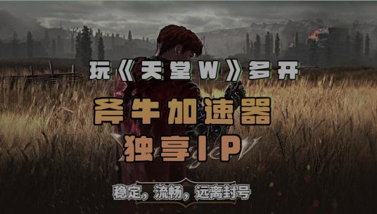 天堂1私服加速器_天堂W多开攻略_斧牛加速器