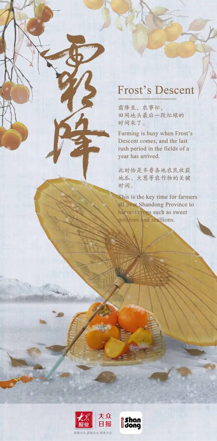 双语话节气丨霜降：霜降见霜，米谷满仓