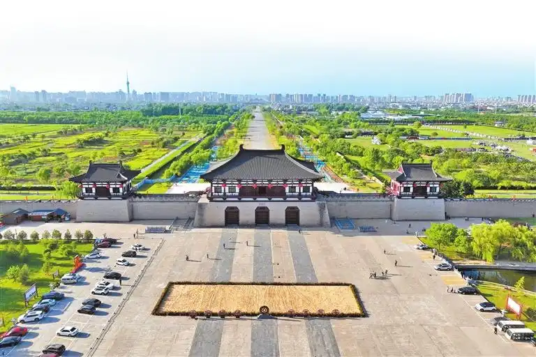 骆驼旅行队 红了 甘肃张掖 _ 徒步牵引骆驼 弘扬丝路精神 _新疆20多人骑骆驼去洛阳 已走60多天