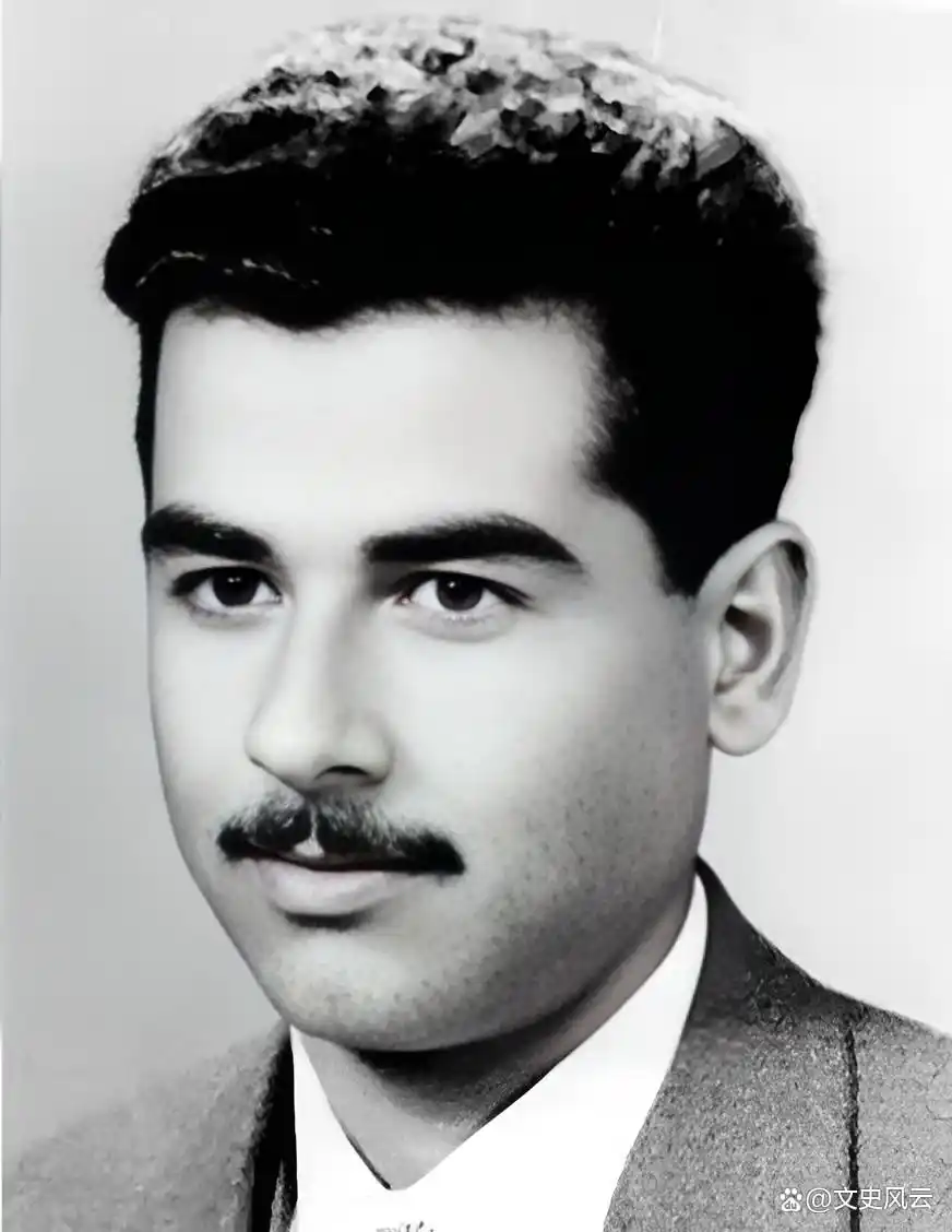 沙林毒气 萨达姆_萨达姆 处决原因 _ 萨达姆 上升史 