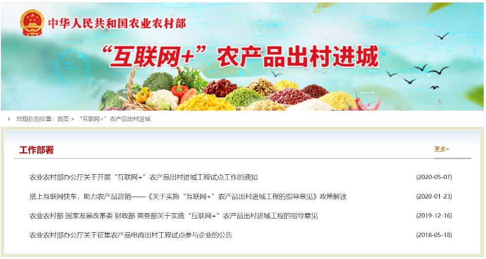 农业农村部携手拼多多等电商平台打造100个示范县，解决农产品“卖难”