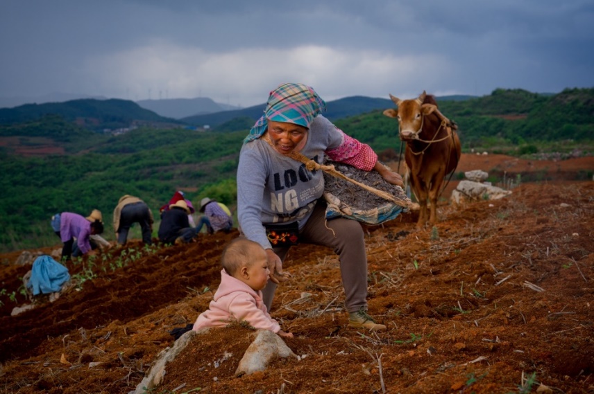 最好的农业网站_拼多多农产品上行模式_互联网+农产品出村进城工程试点工作