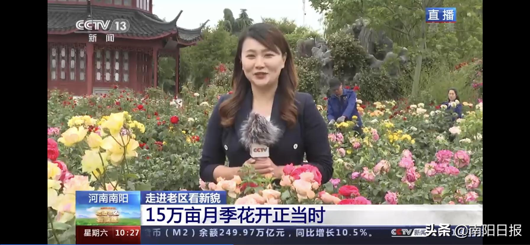 一天之内三上央视，南阳市发展令人瞩目，《走进老区看新貌》引发各界热议——看！幸福花儿开正艳