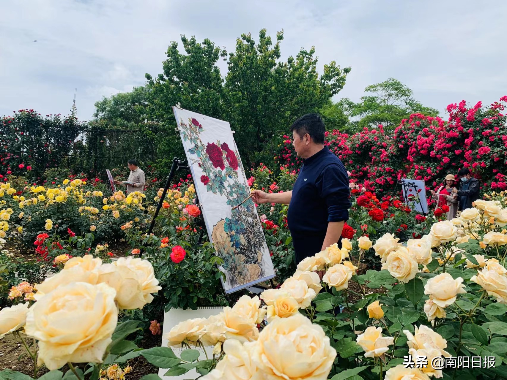 南阳红色历史文化_南阳央视报道_南阳市美丽之都现状