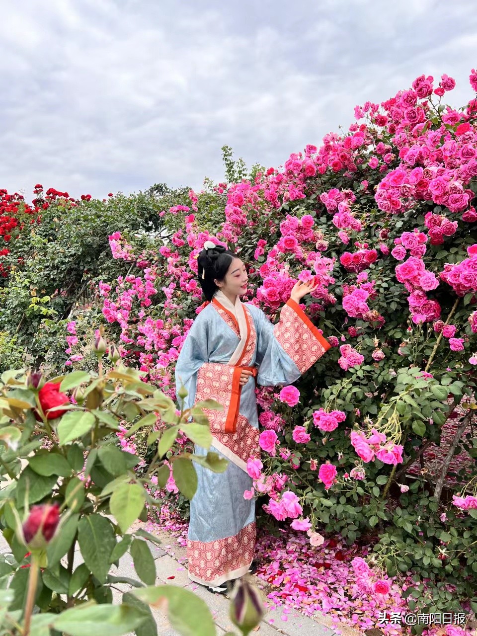 南阳市美丽之都现状_南阳红色历史文化_南阳央视报道