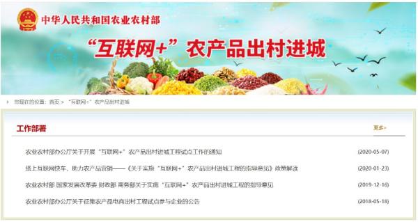 最好的农业网站_互联网+农产品出村进城工程试点工作_拼多多农产品上行平台