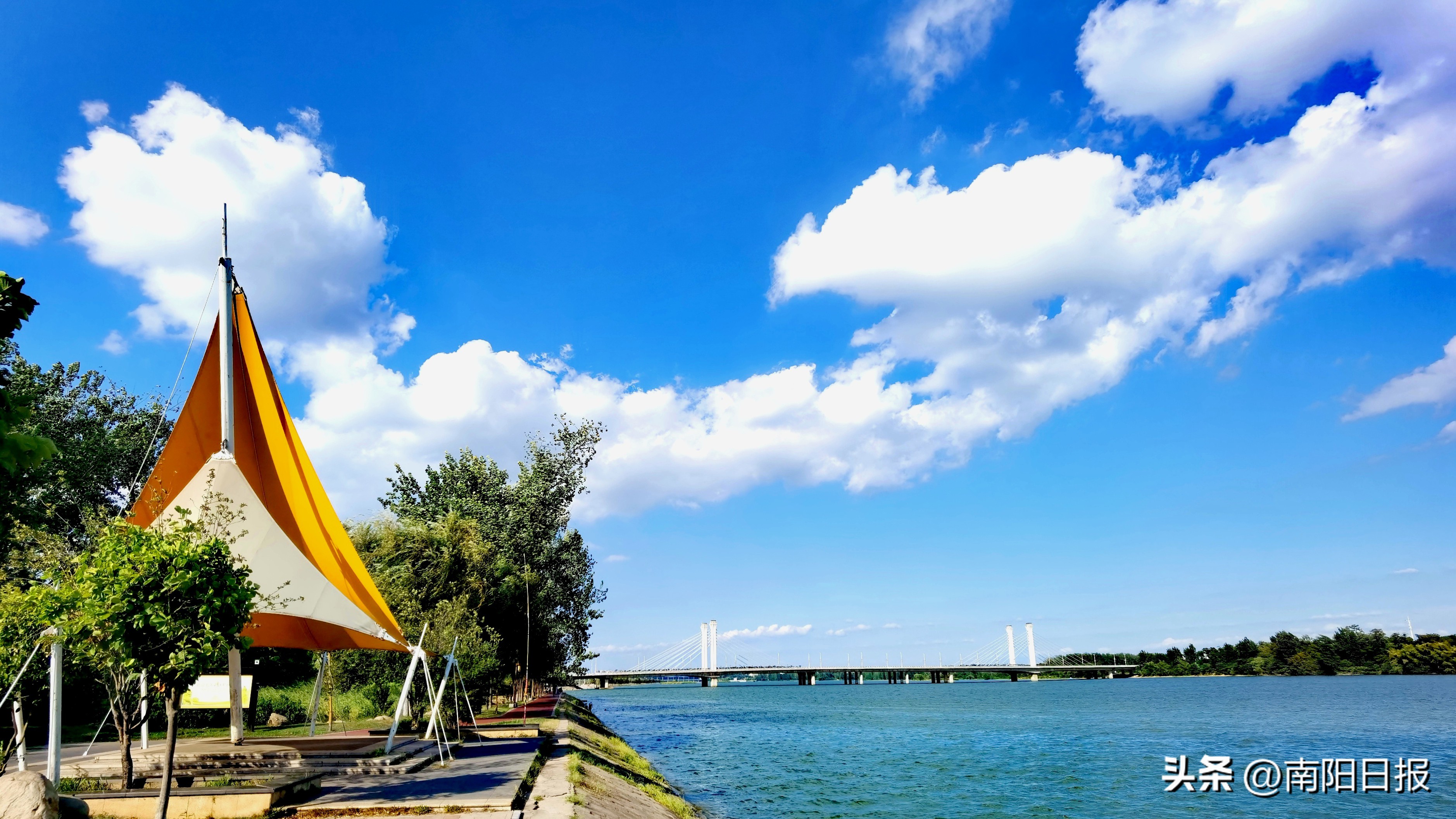 南阳市美丽之都现状_南阳无废城市建设试点_南阳生物多样性魅力城市