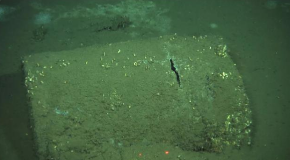 美国证实日本即将沉没_日本核废水排放_美国太平洋DDT废料倾倒