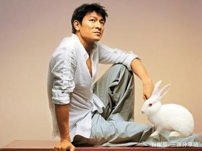 最具影响力香港巨星,这五位你认识几个,你更喜欢谁