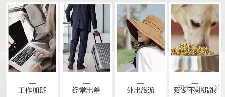 2025智能宠物喂食器推荐！高性价比宠物自动喂食器选购攻略！含多尼斯/小佩/鸟语花香等品牌！