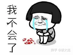 智能宠物喂食器_宠物服务行业_远程控制宠物喂食器